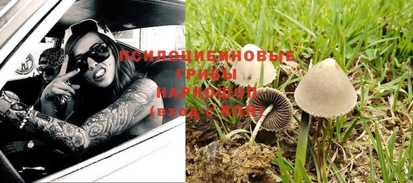 винт Богородицк
