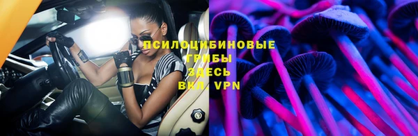 круглые Аркадак