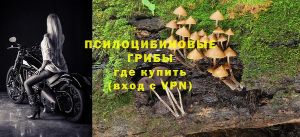 винт Богородицк
